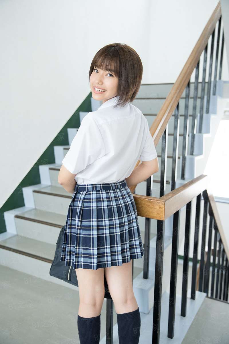 大象与小蝶物语
