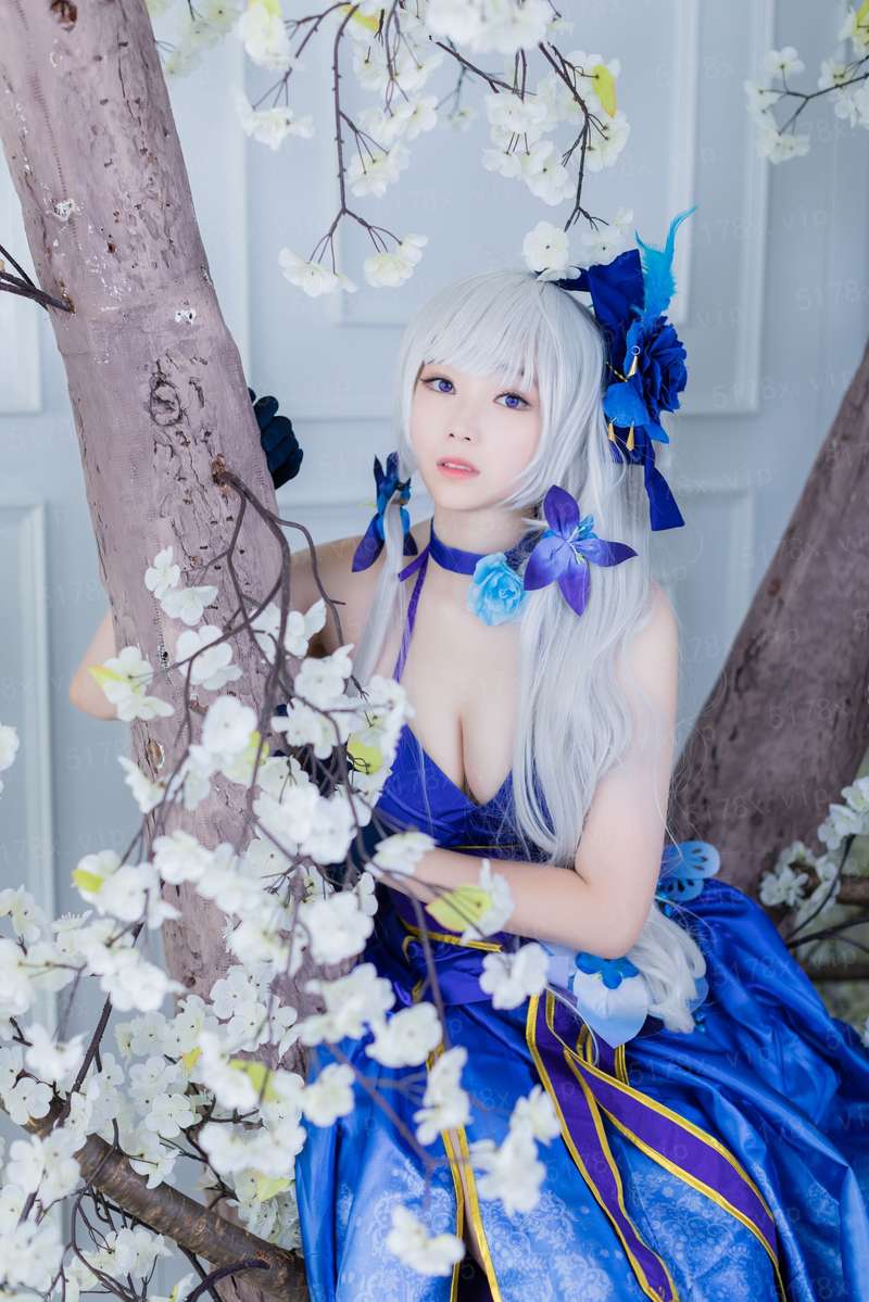 美丽的棉花