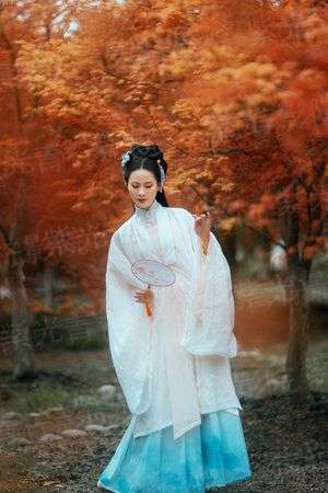 欢乐道士
