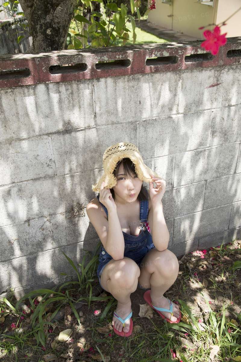羽落凡尘殇