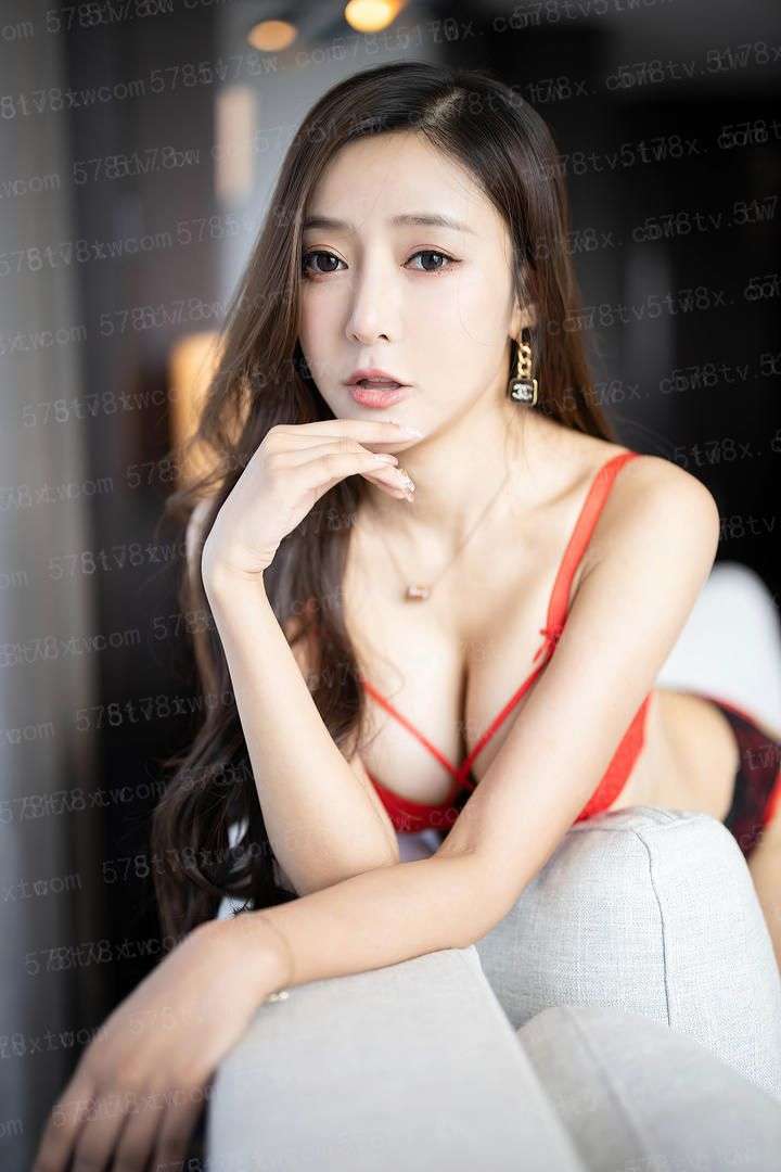 恋上一只猫(穿越时空变成猫)