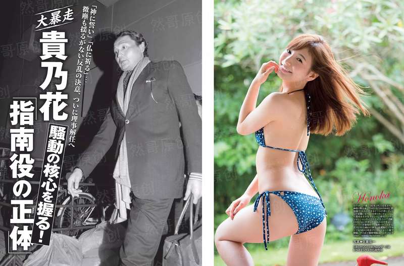 重返青春期2018
