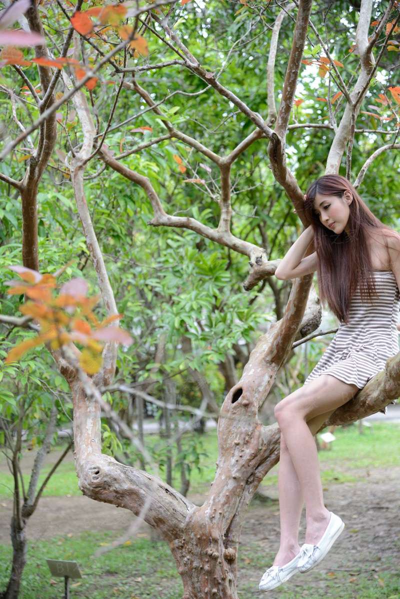 如果没有如果的话