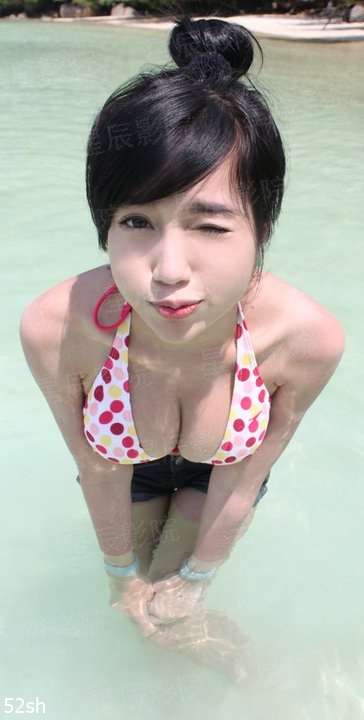 海贼王之复仇者联盟
