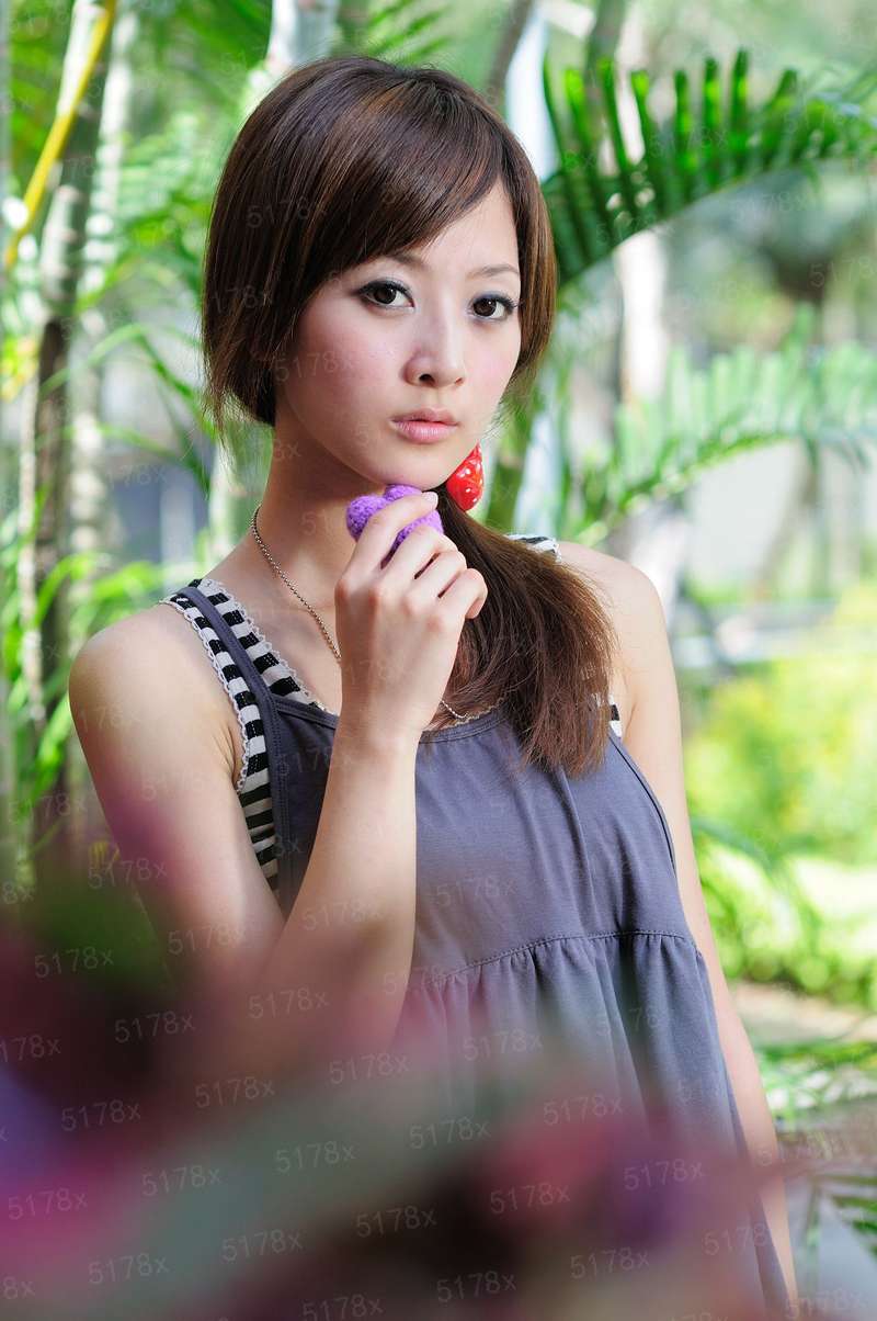 恐龙战队第一季