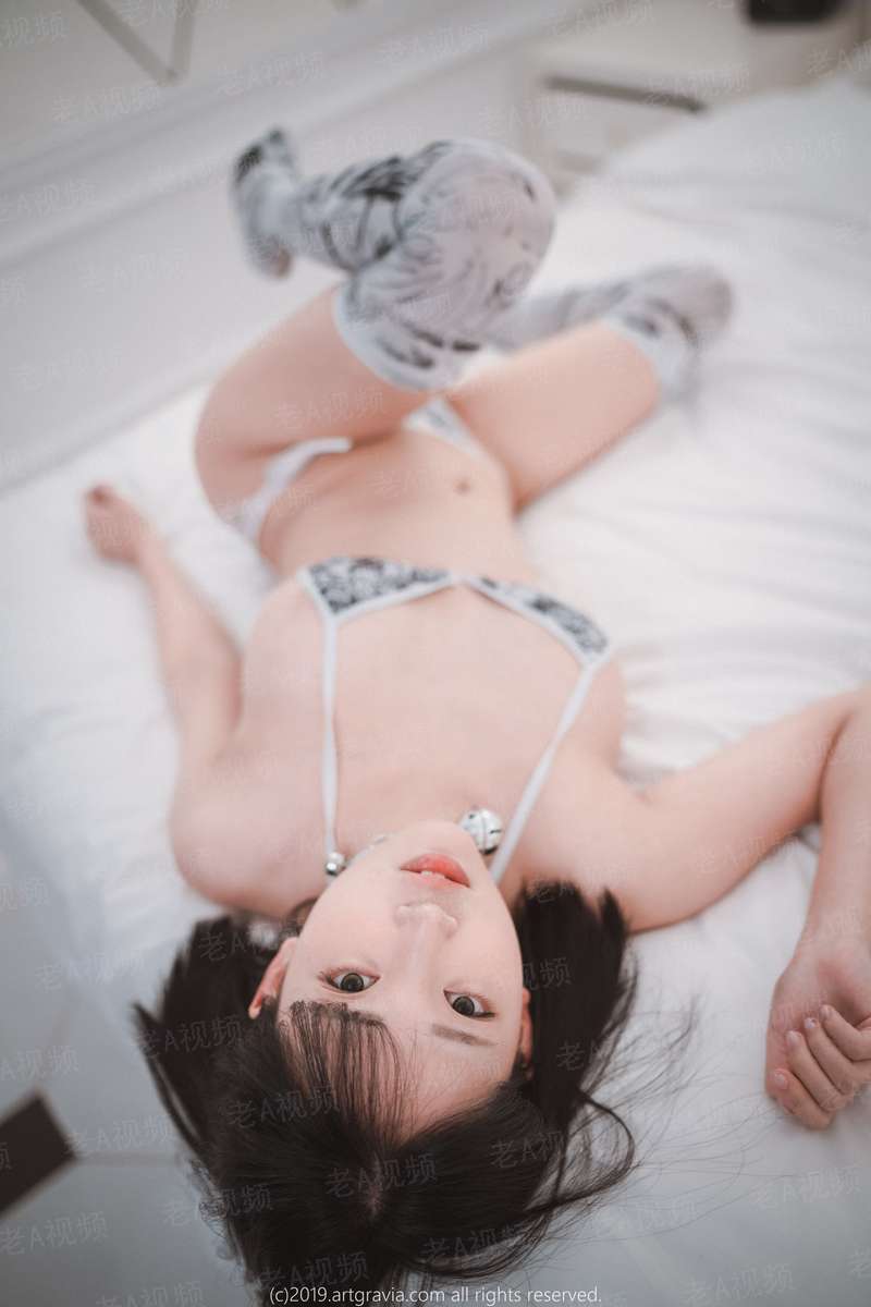 风中的游侠