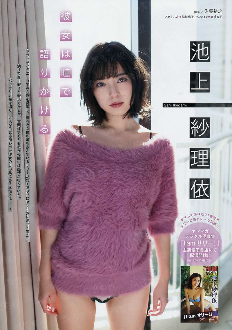 寻道纯阳：凡仙