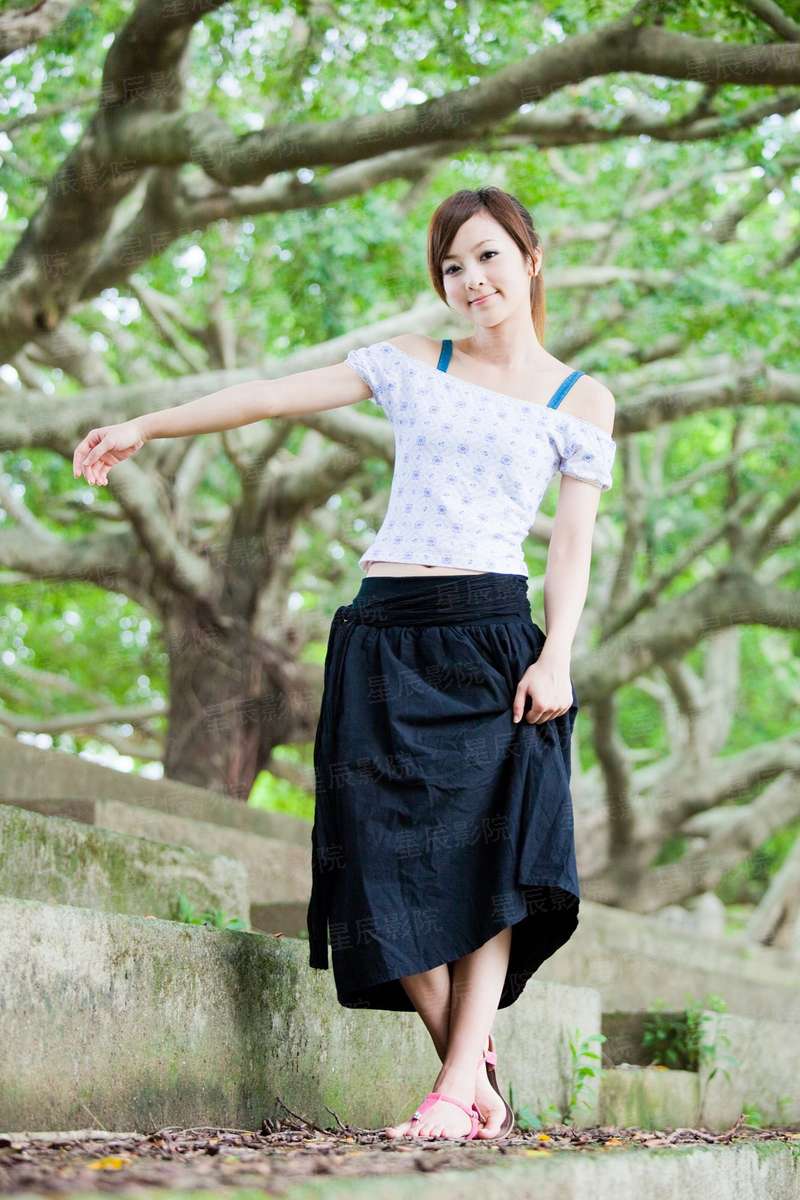 红楼之老实人当家