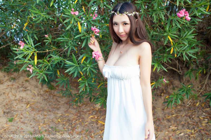 仙界审核员