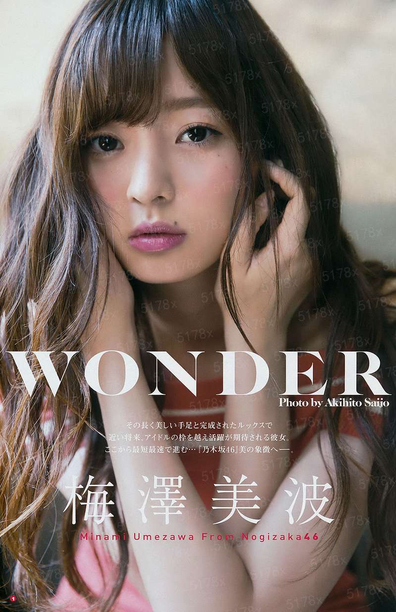 农家贵媳