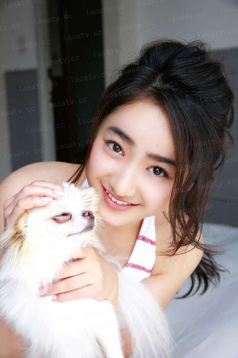 傅沉宋风晚小说