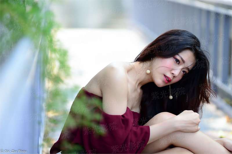 绿茵肥龙