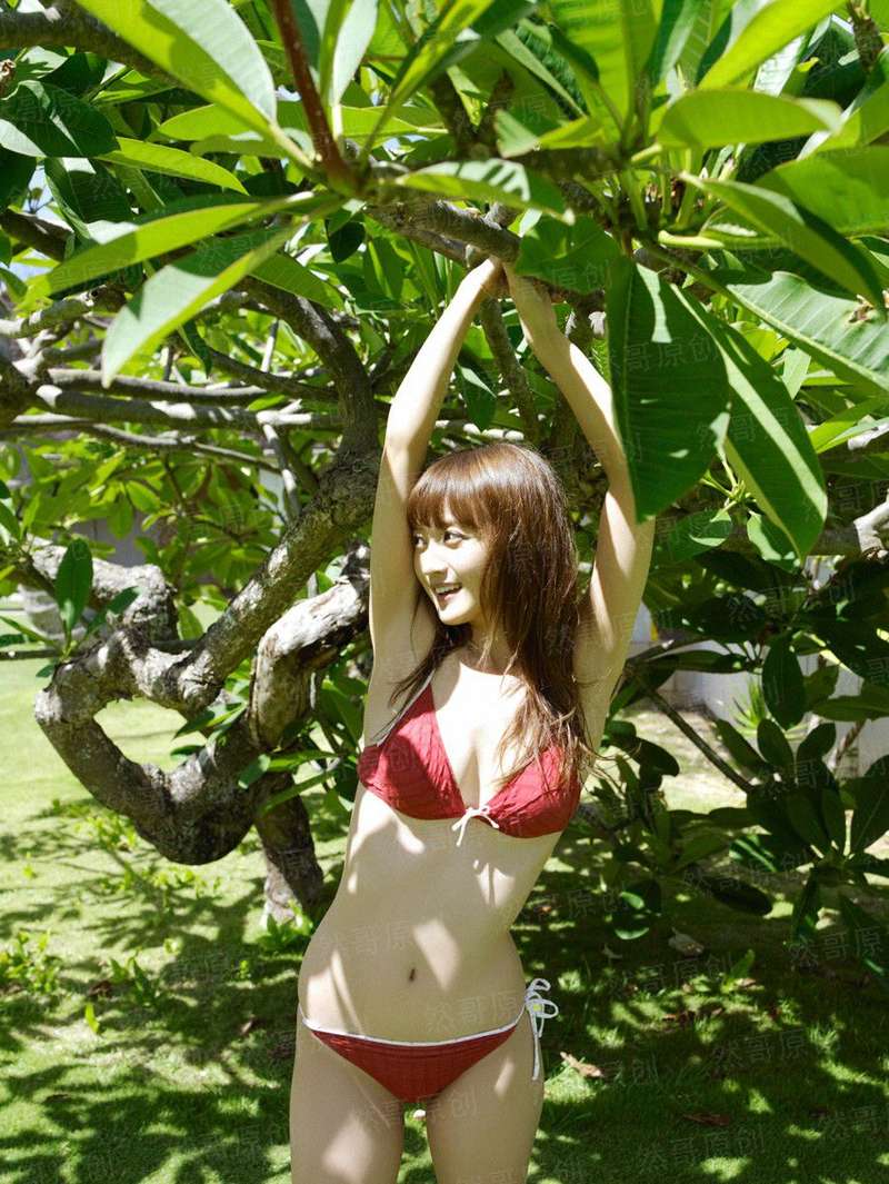 顺风旅程