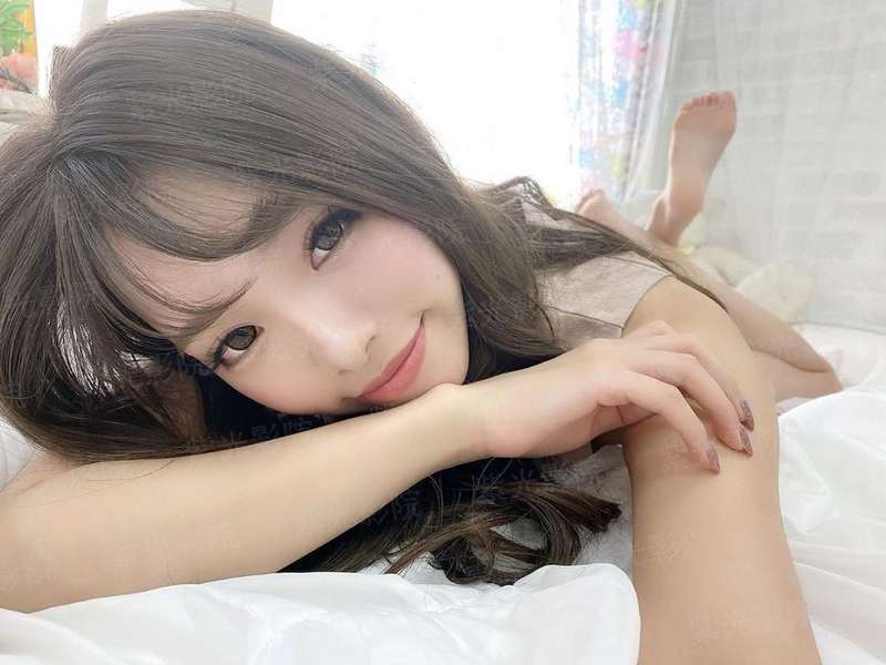 野猫寻爱记