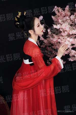 绝美女神的贴身小医神