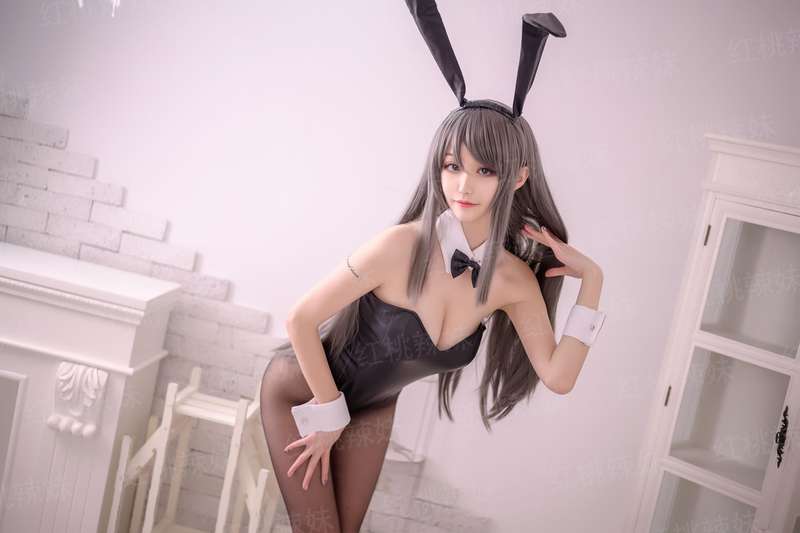 辛夷花开