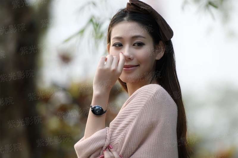 挟女帝以令天下