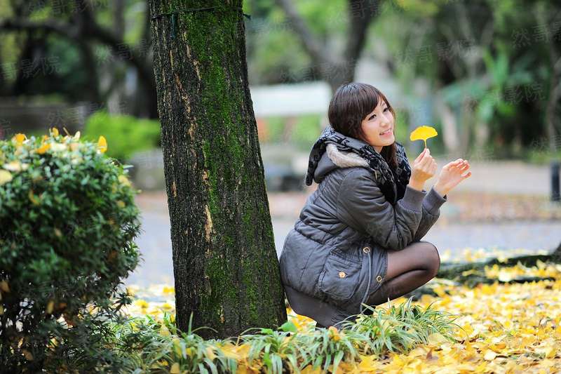 君不见倾城与倾国