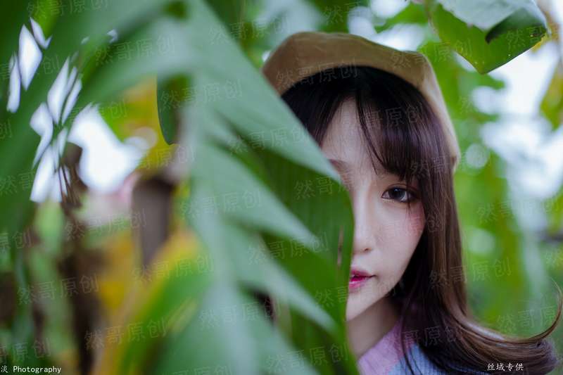 凤凰引：惹上妖孽殿下