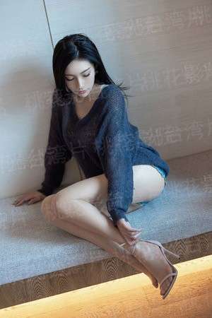 明末大奸臣