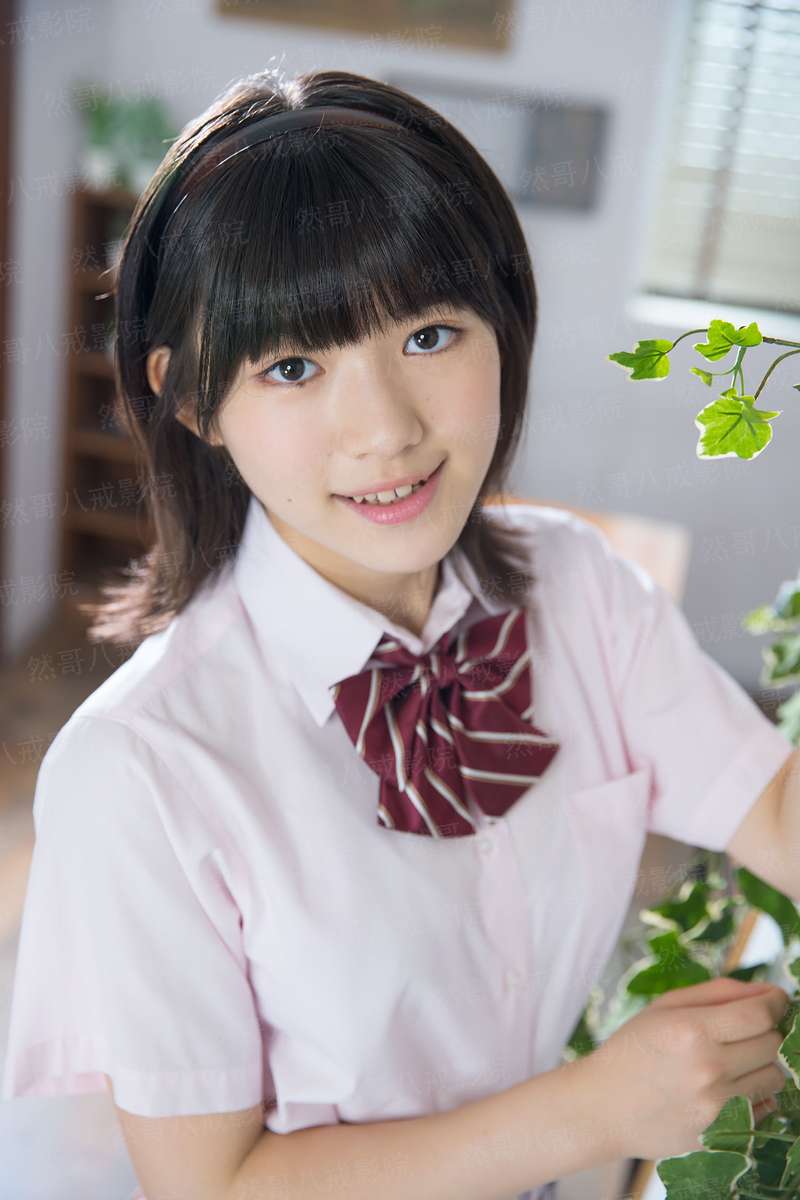 森林里的熊先生，冬眠中