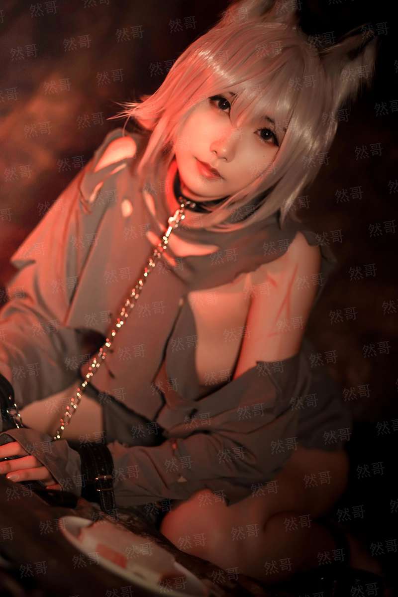 逐鹿九重天