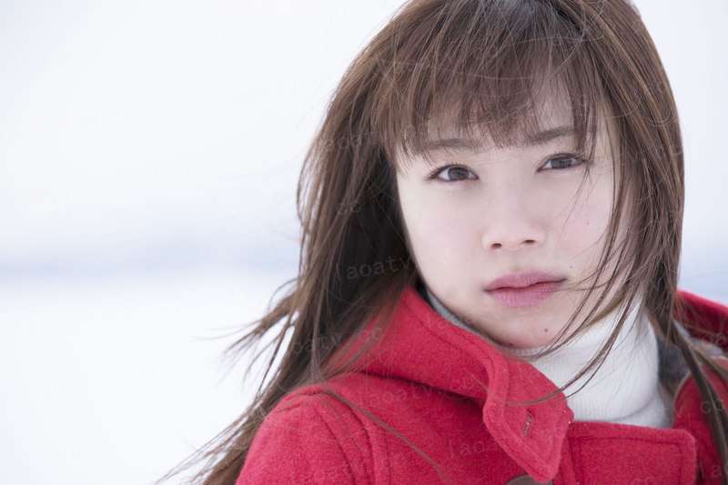 一条狗的回家路 普通话版