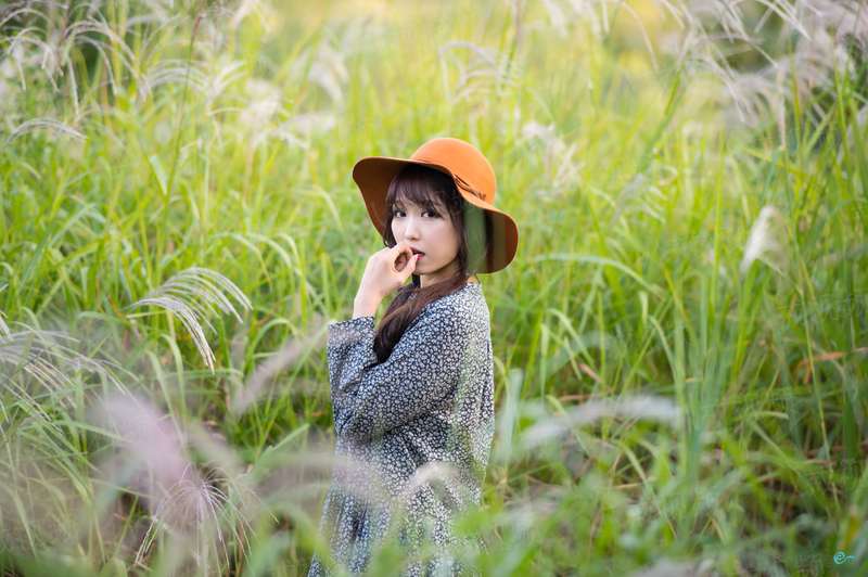 春天花会开