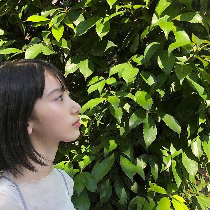 绝色女总裁的近身高手