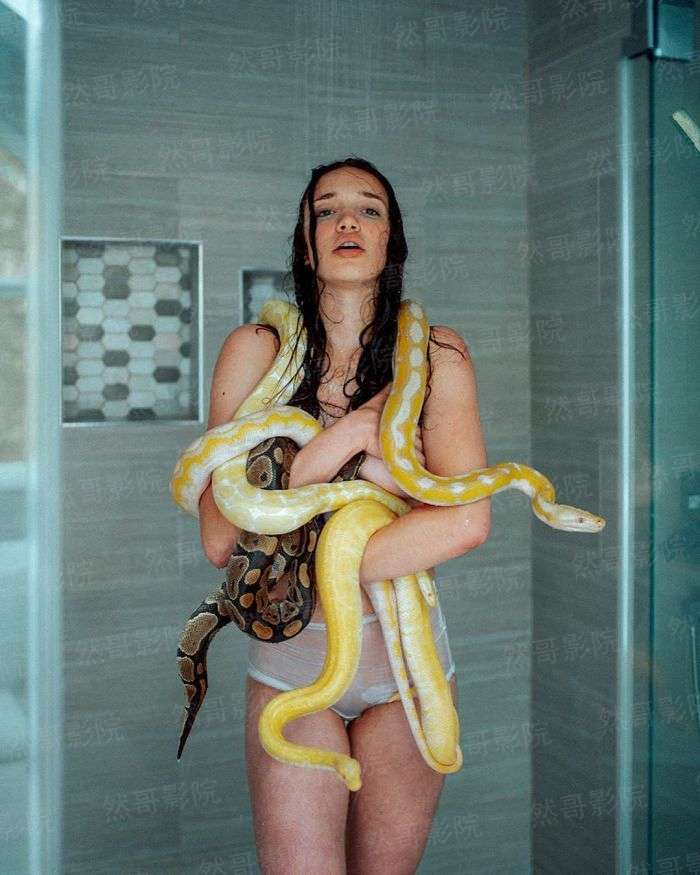 不一样的巨星路