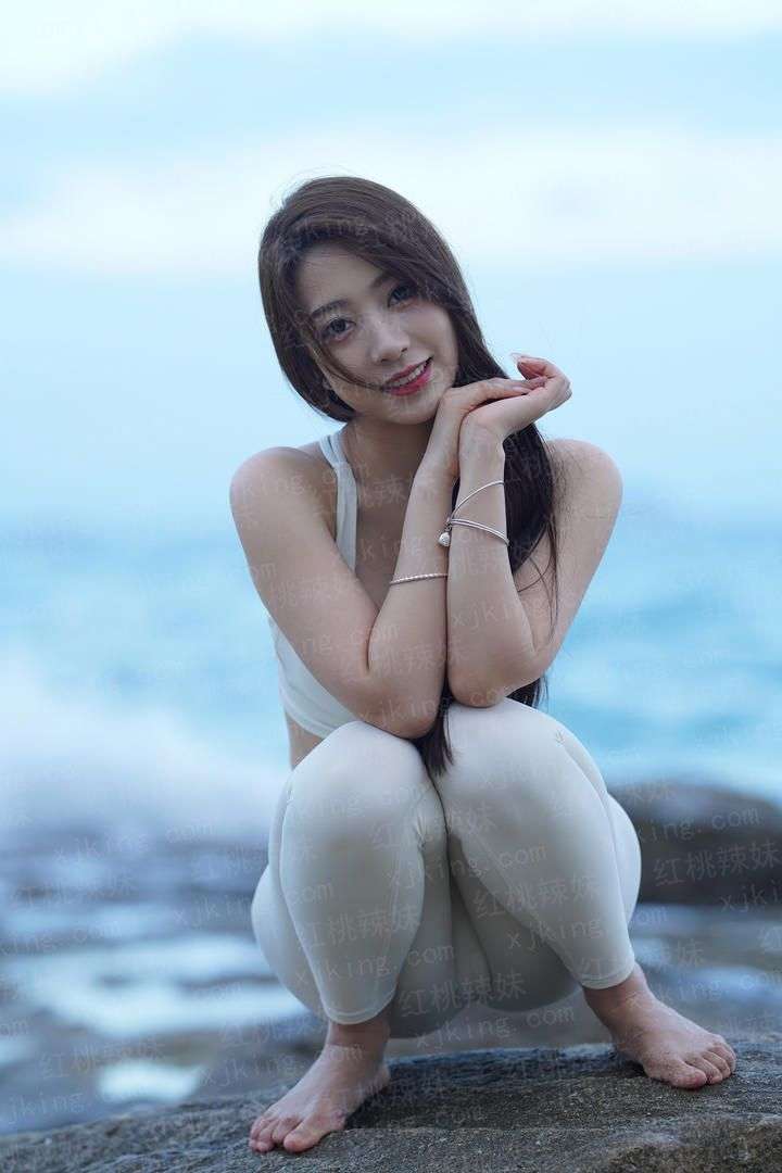 蜂巢2020