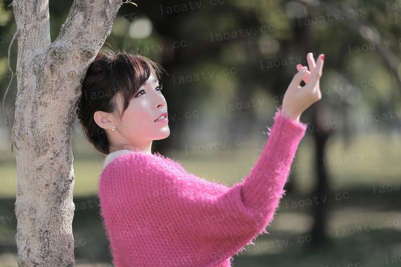 引妻入局：陆少，别玩我