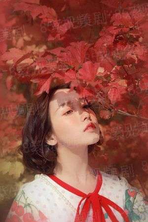 双面公主之重生归来