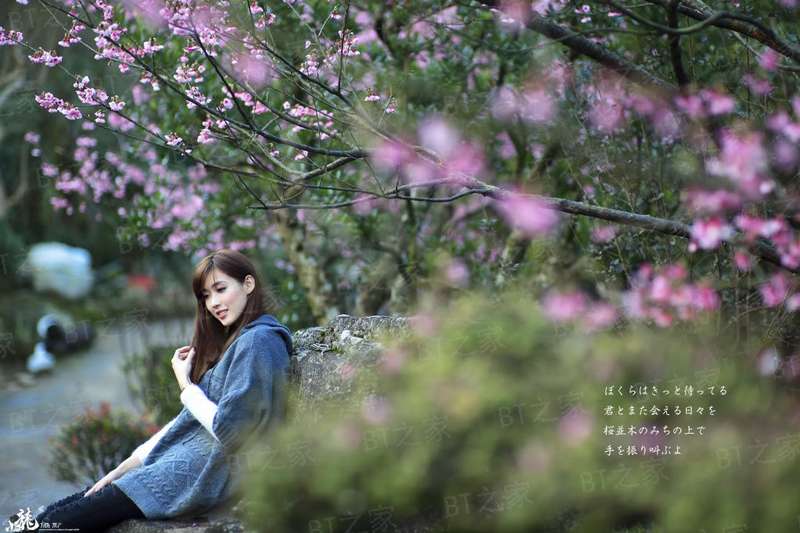这个洪荒有点怪