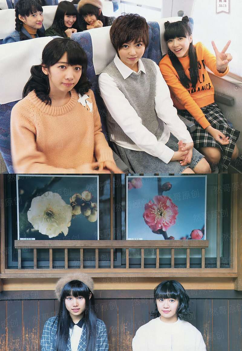 偷星同人——沧玄