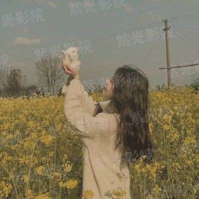 霸气全能校花：丫头太完美
