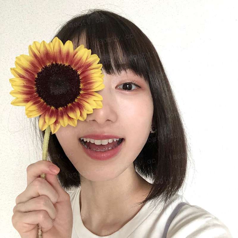 盘龙之成长系统