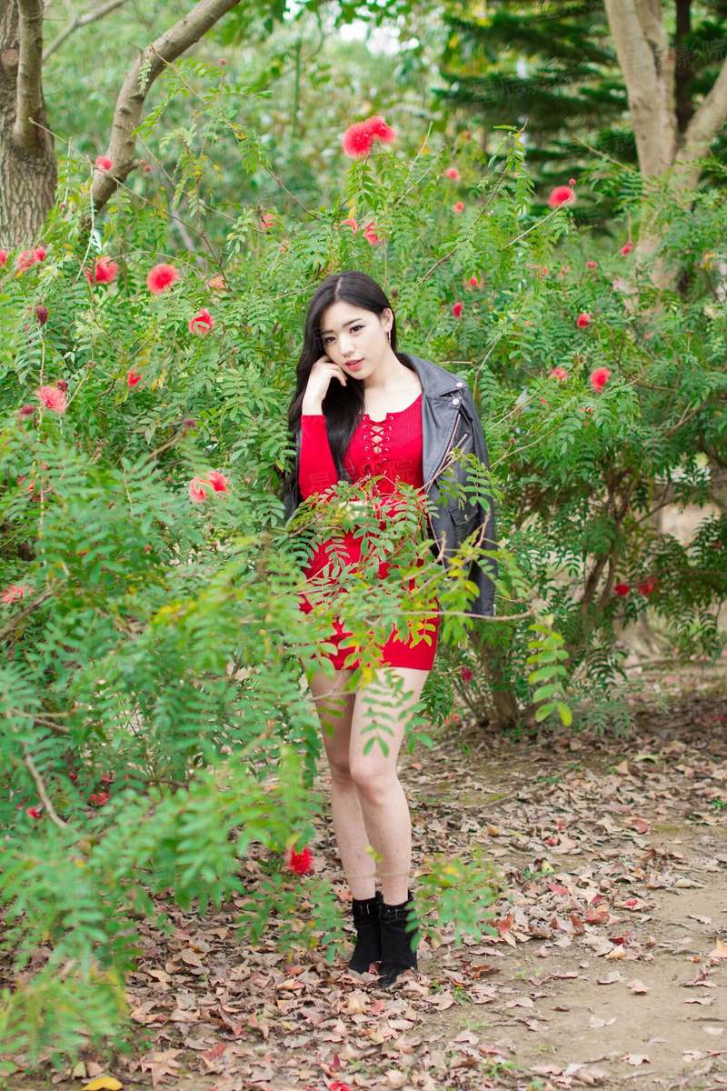 三月桐子花