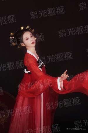 契约条款