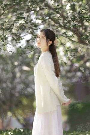 江湖女县令