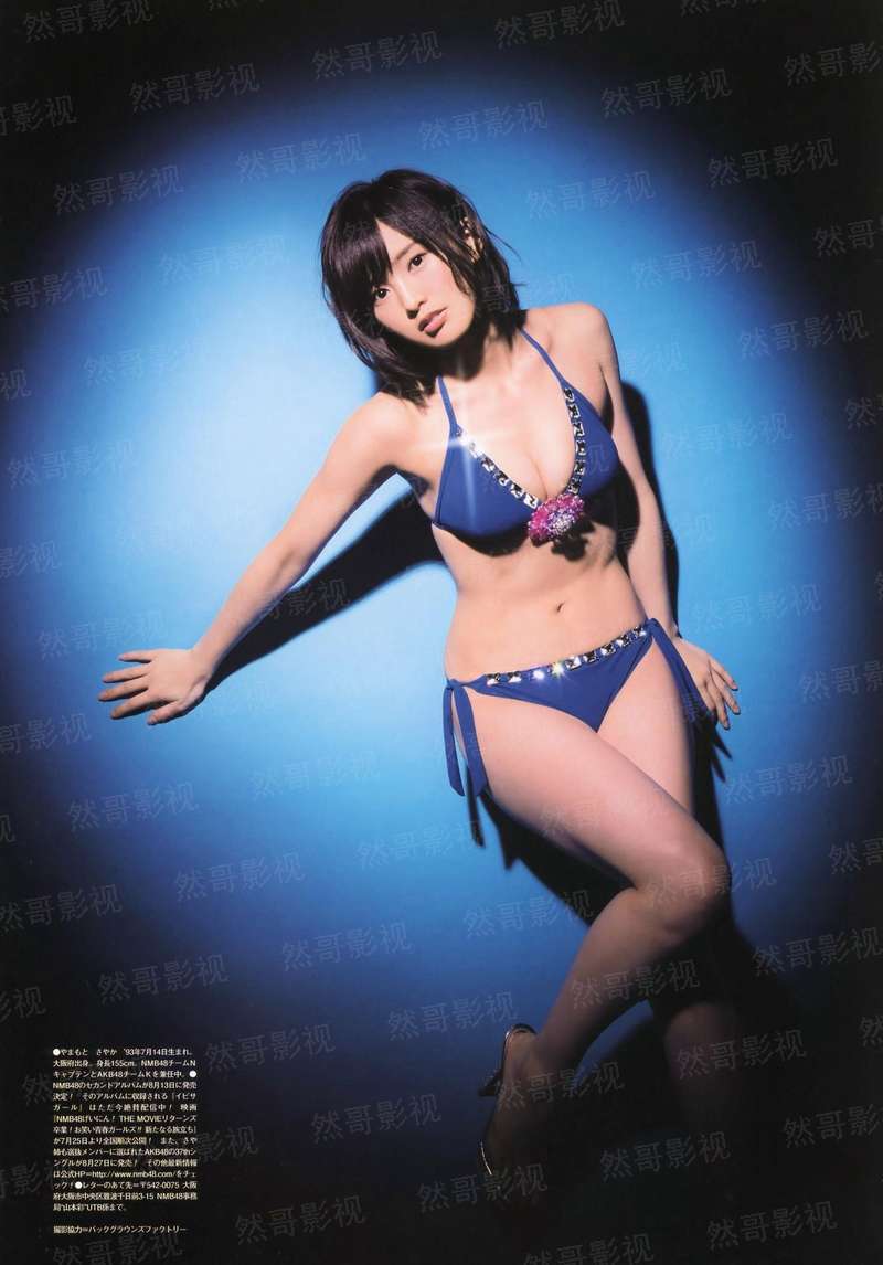 [综]斯塔克家的短腿胖橘