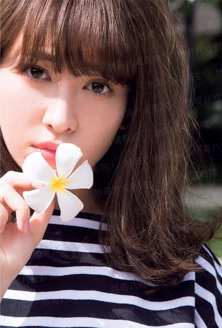 赤咤风云