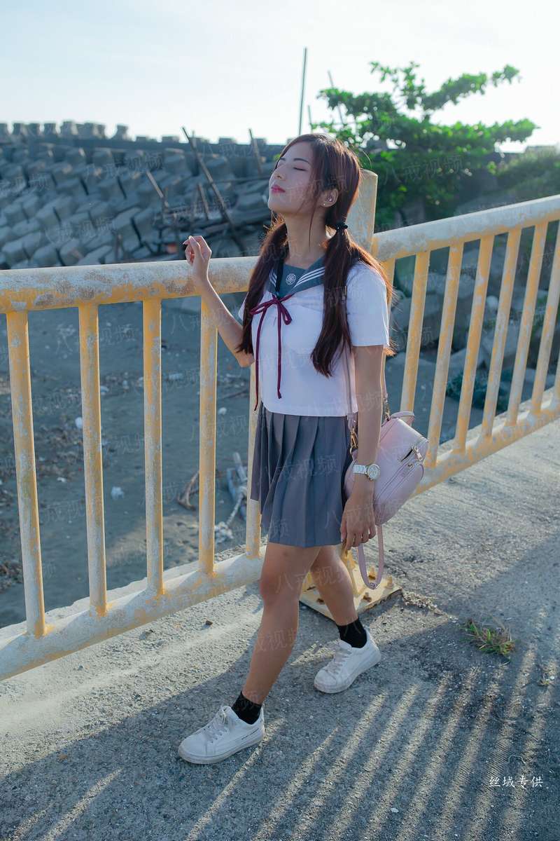 向导逆追指南[未来]