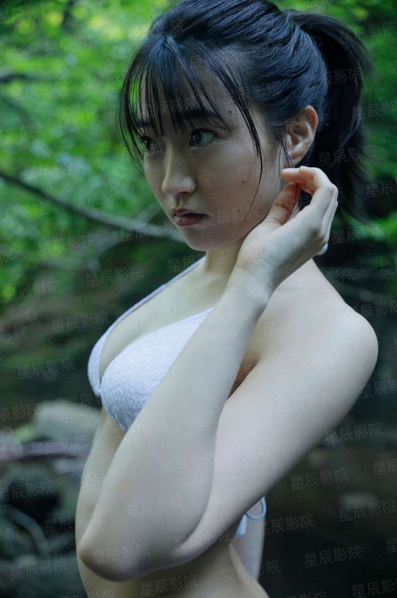 债务公司