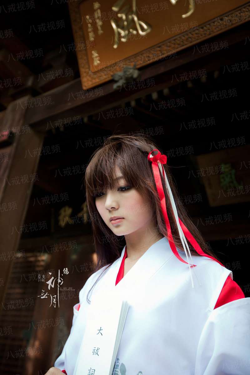 帝血傲战