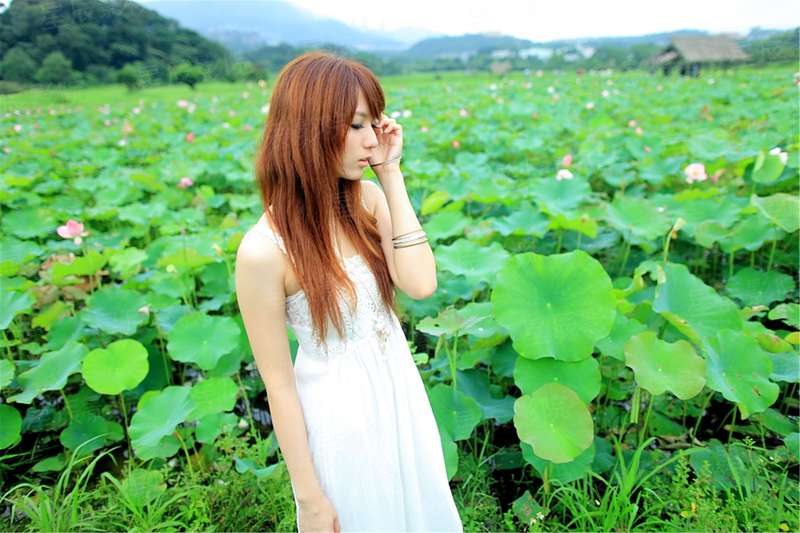 给芷若的青书[重生对穿越]