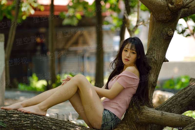 拾秋之夏
