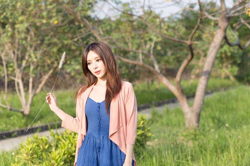 圣迹御气大师