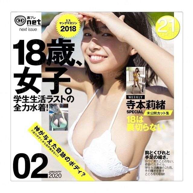 风起时见你