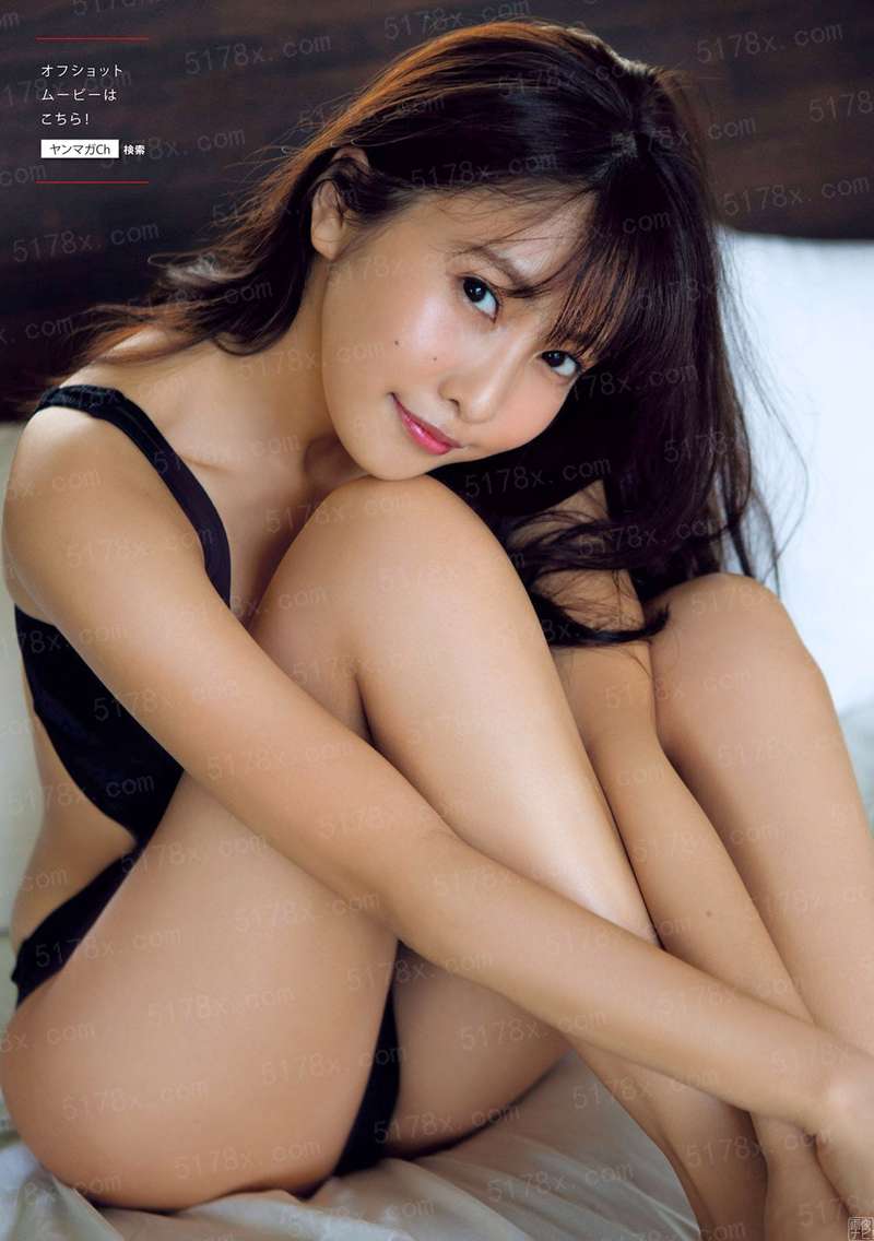 宠兽战斗师